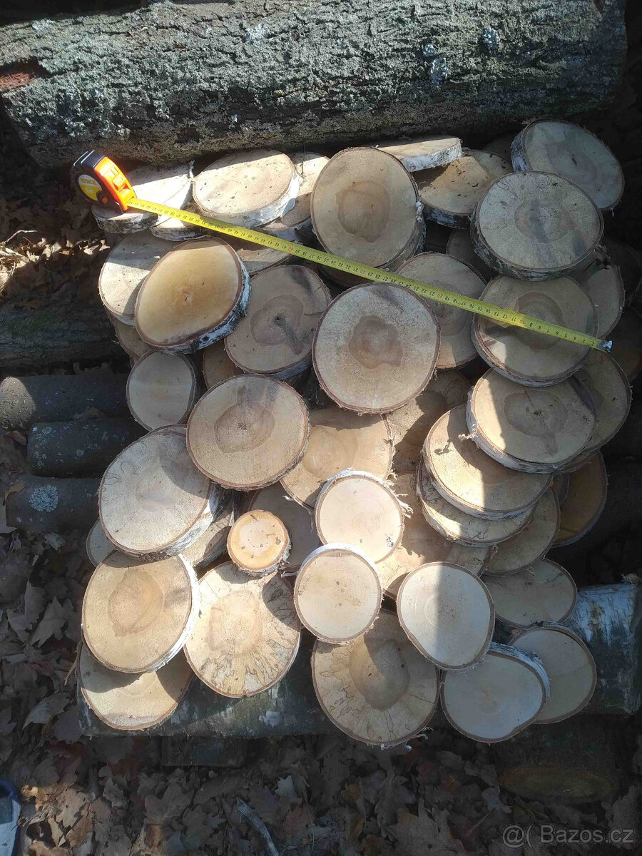 Placky bříza,kolečka a šikmé placky z břízy i jiného dřeva - 11
