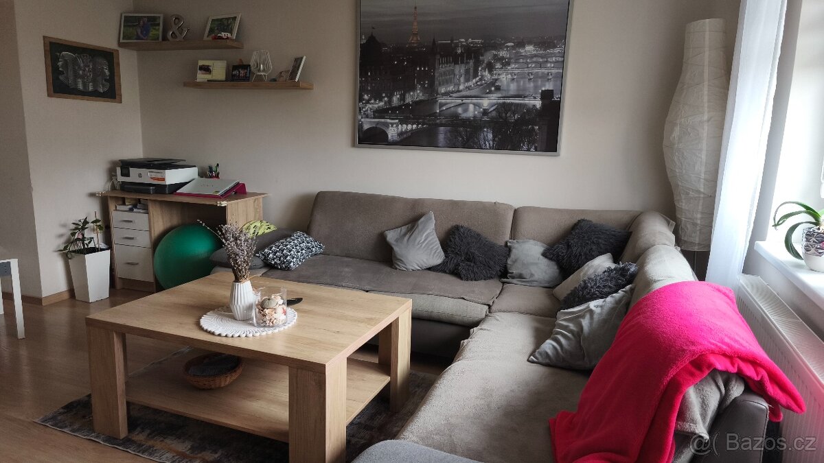 Prodej bytu 3+1 - 11