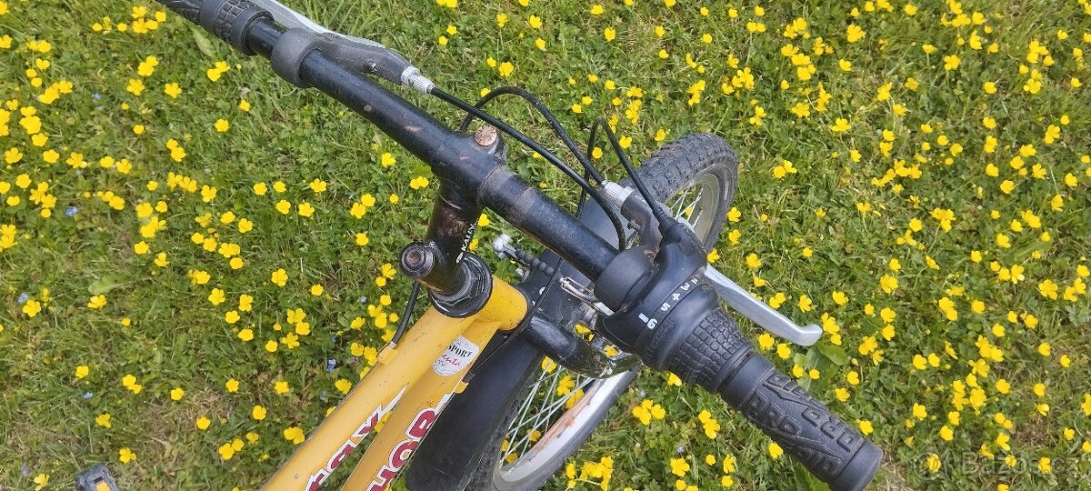 Author Energy 20" - 11