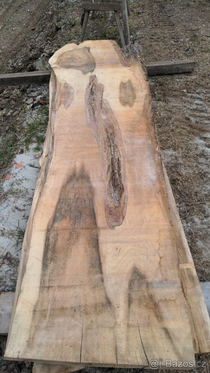 Suché jilmové fošny - 11