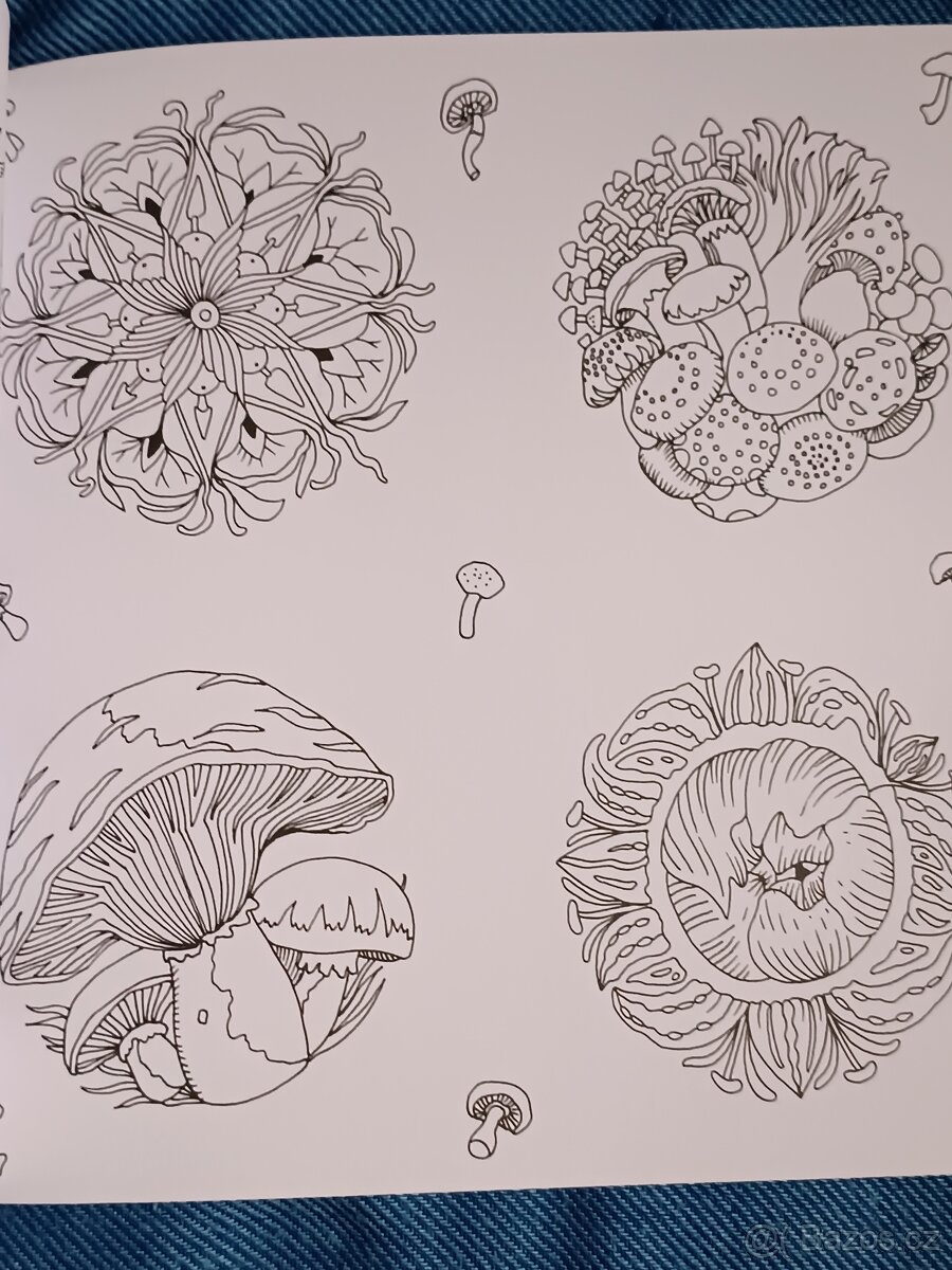 Omalovánky pro dospělé Exotický prales - 11