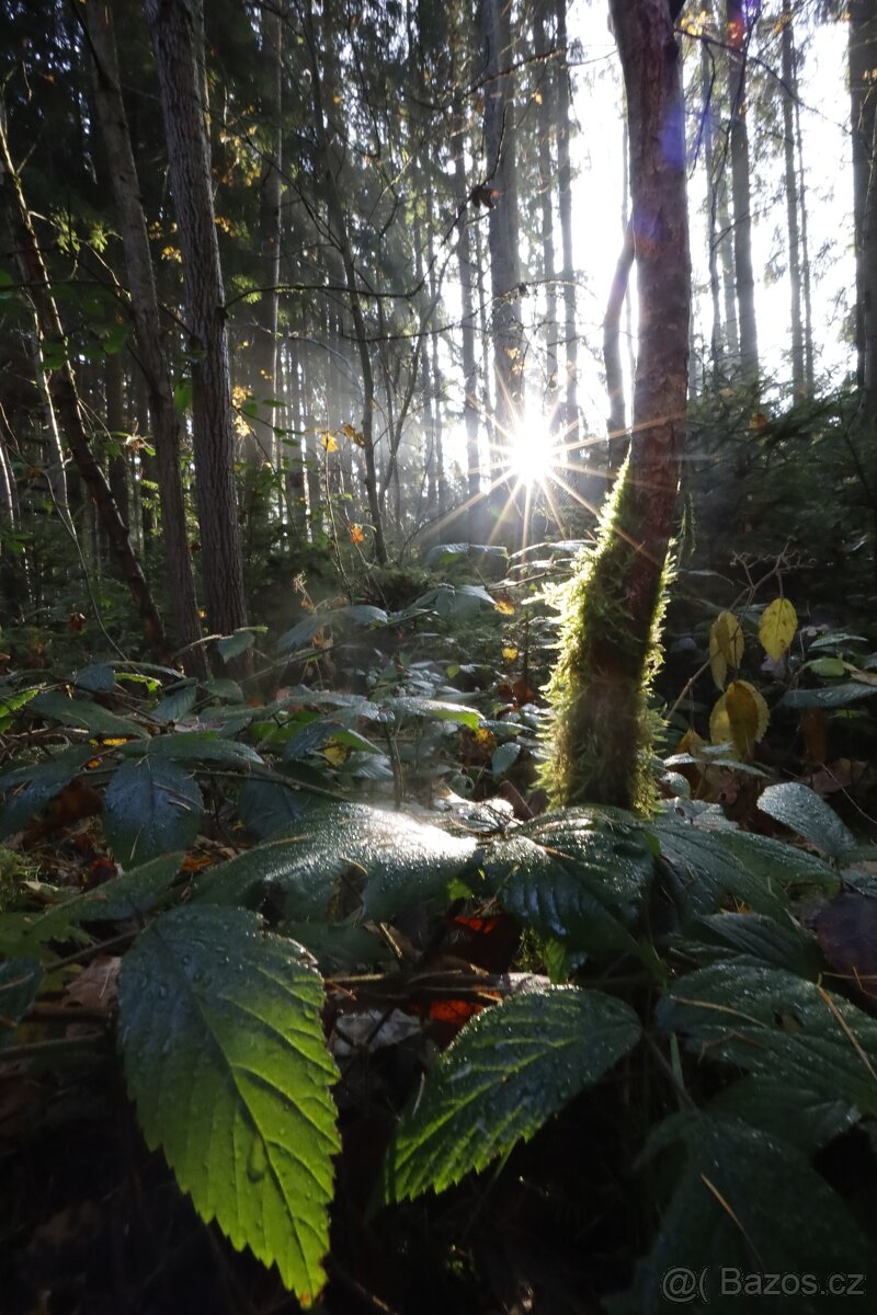 Canon RF 16 mm F2.8 STM - 11