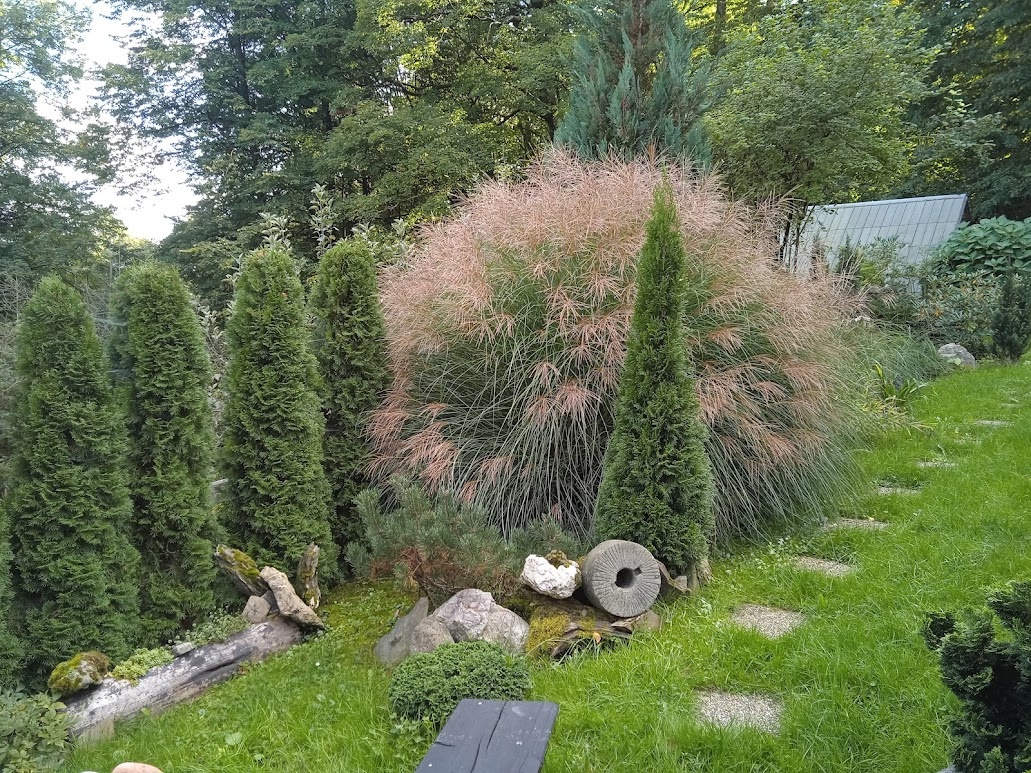 Zahradní chata Skalice - 11