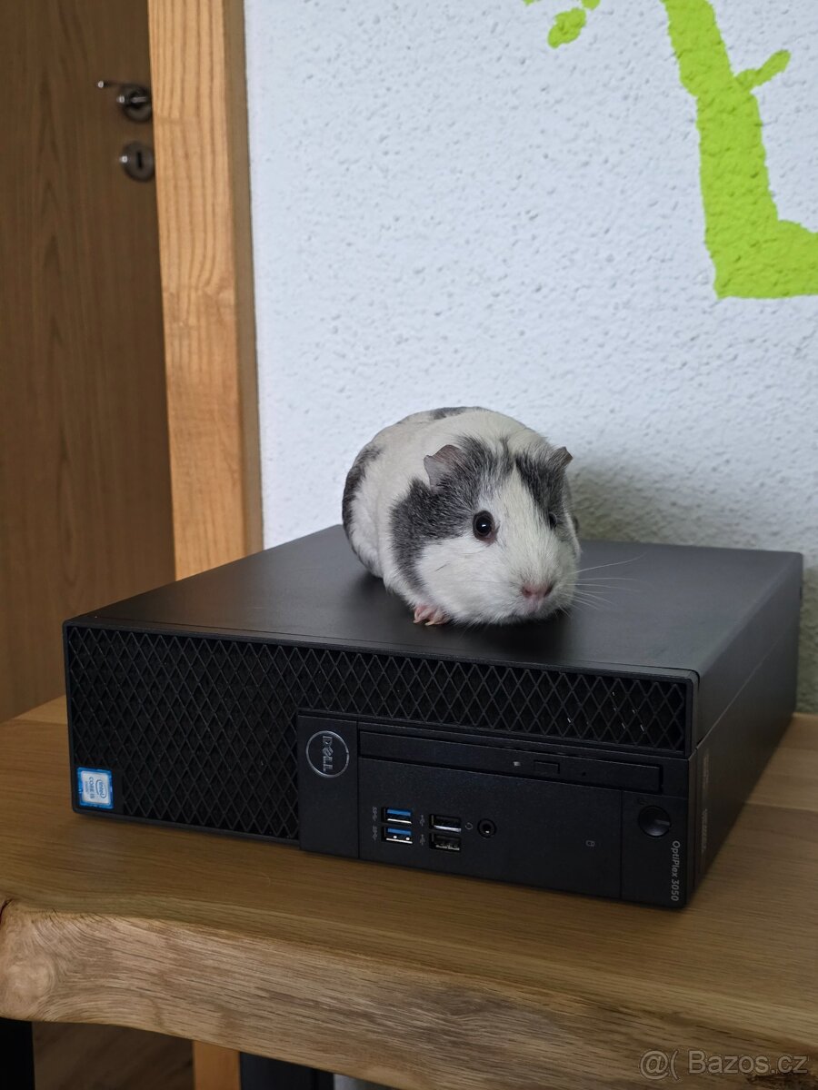 🚀 Spolehlivý Dell SFF – Intel i5 / 16GB RAM/256ssd - 11