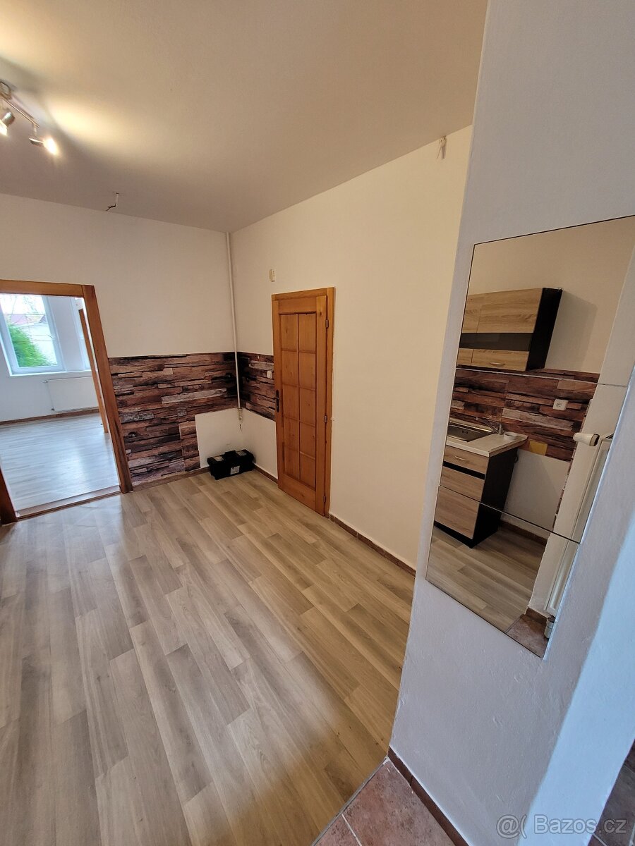 ¹Pronajmu byt 1+1 - 11