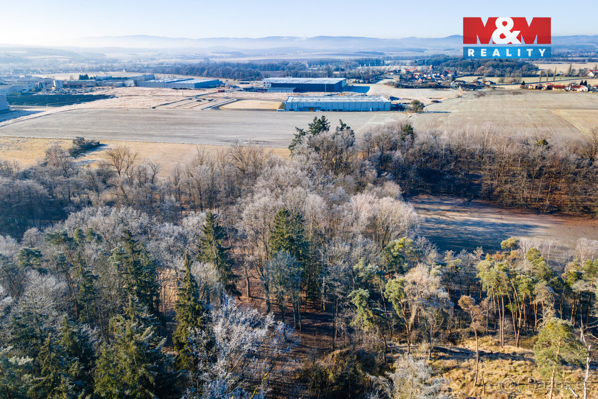 Prodej lesa, 685 m², Horšovský Týn - 11