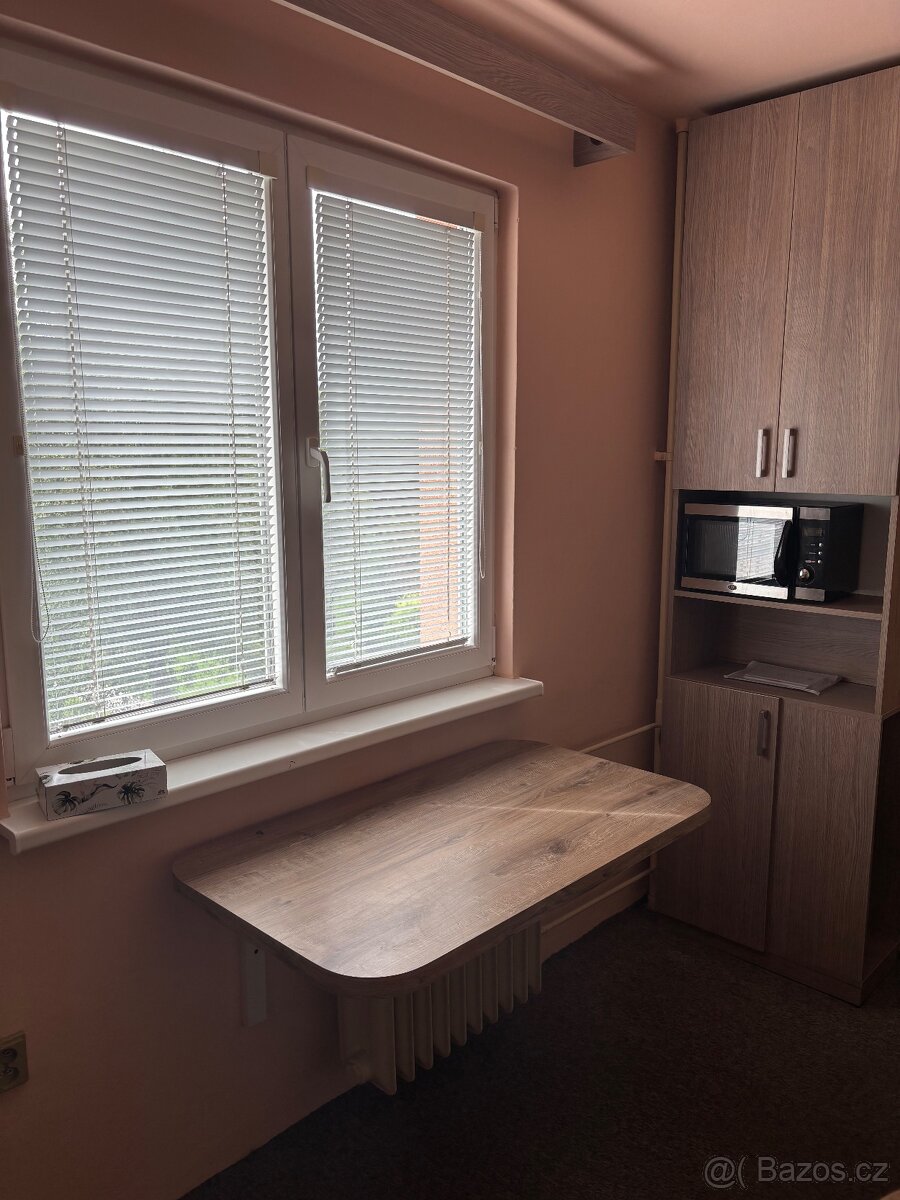 PRONÁJEM - Byt 2+1 Lipník n/B - 11