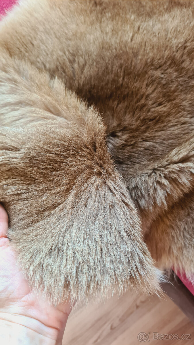 Pravá klokaní kožešina z Austrálie (5) - 11