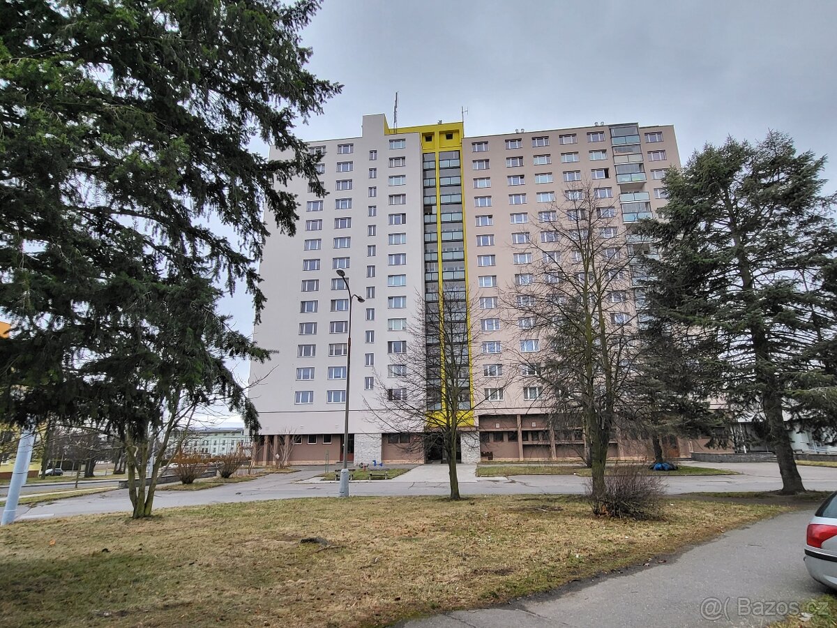 Pronájem bytu 1+KK v Plzni - Bory - 11