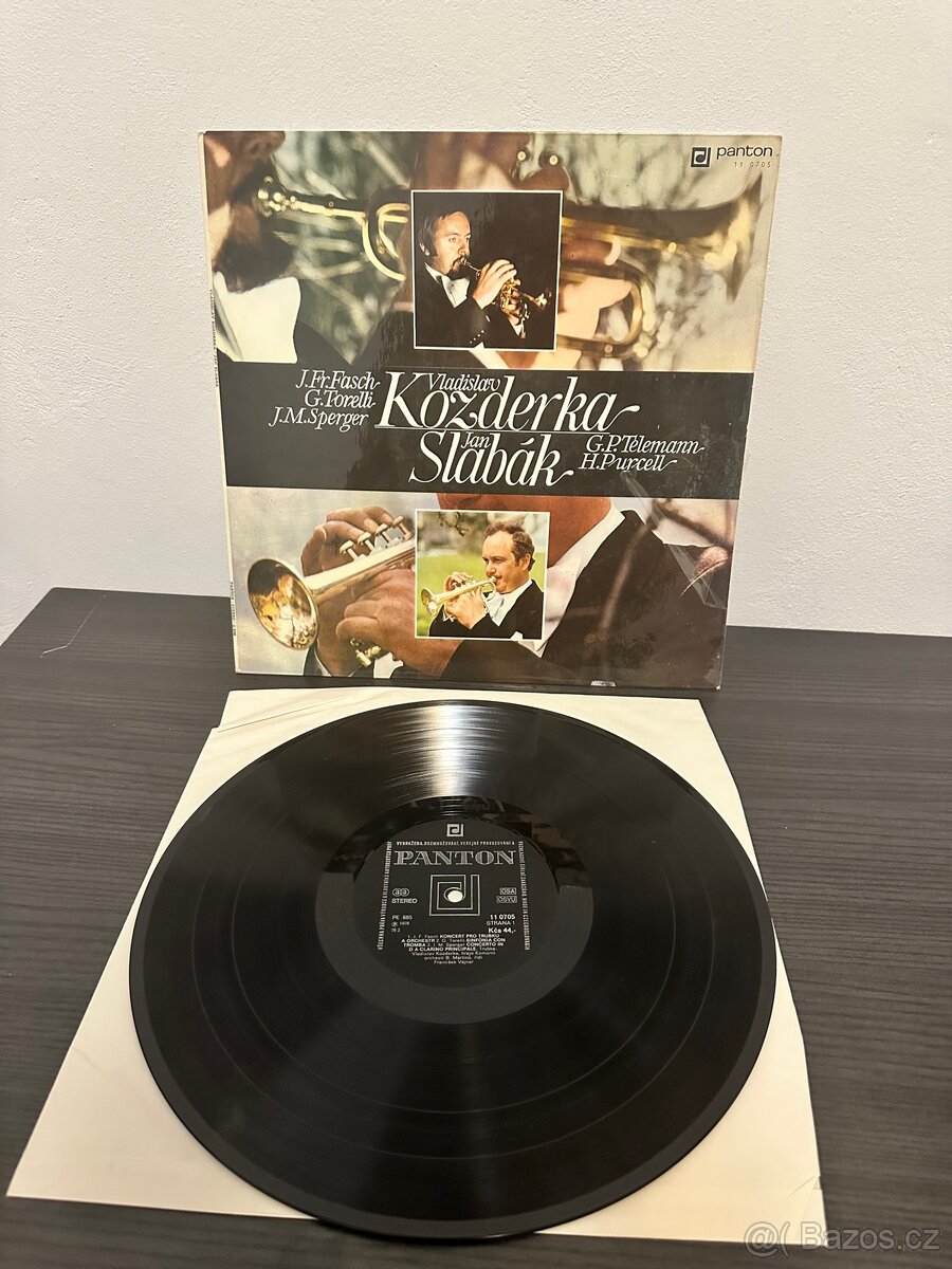 Velká sbírka vinylů – LP + singly – 30+ kusů - 11