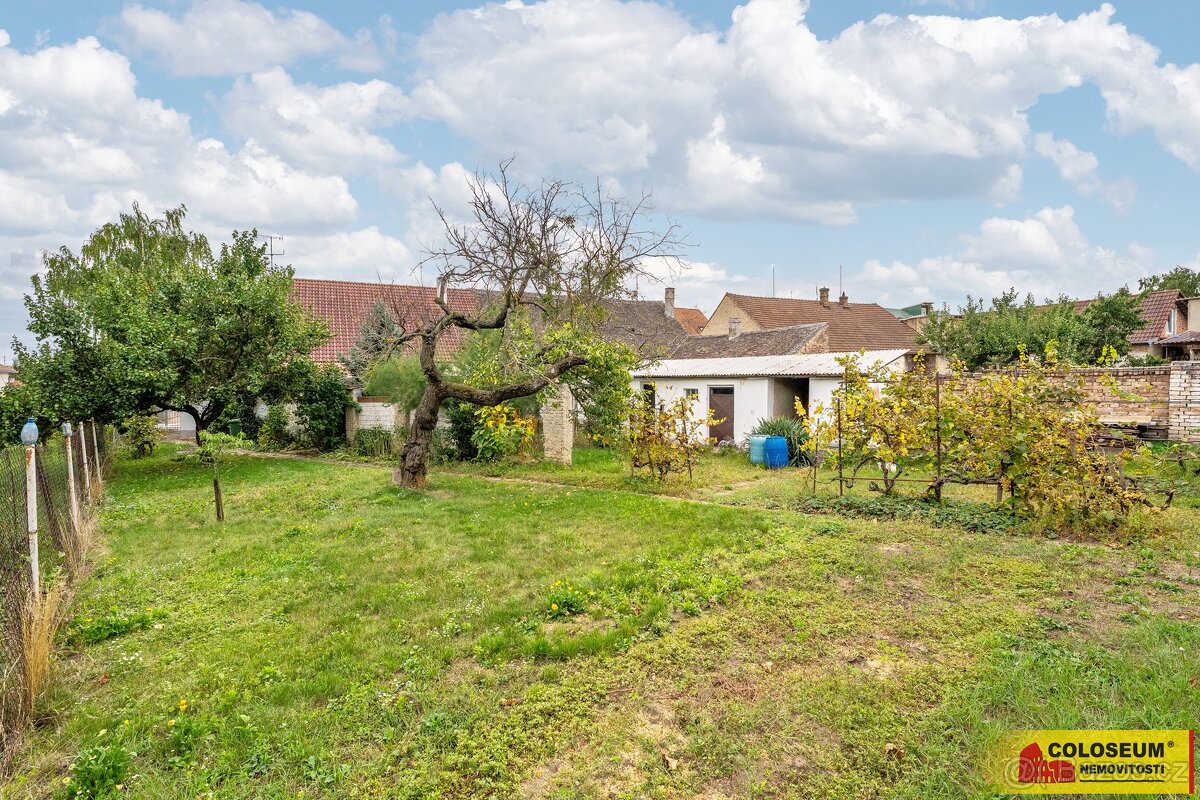 Hrušovany nad Jevišovkou, RD 3+kk, garáž, sklep, zahrada - r - 11