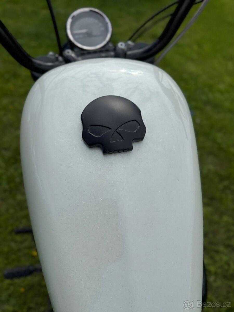 Harley-Davidson Sportster Roadster XL1200CX - 11