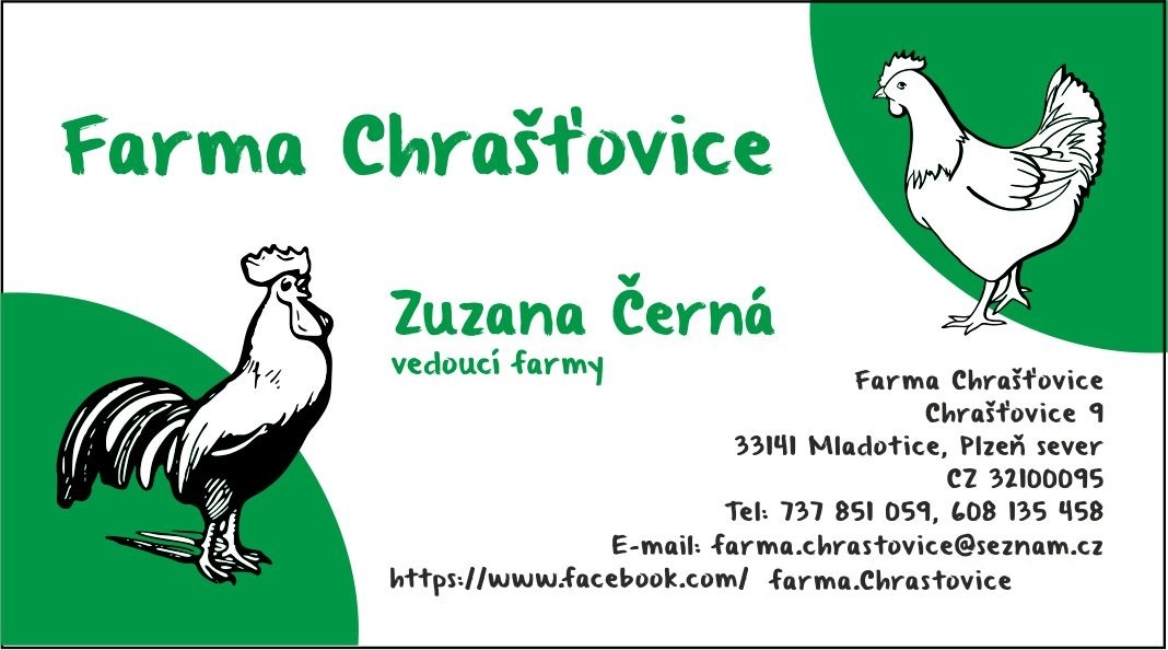 Podej kuřat 15 týdnů - BRAHMANKA ŽLUTÁ 🐓 - 11