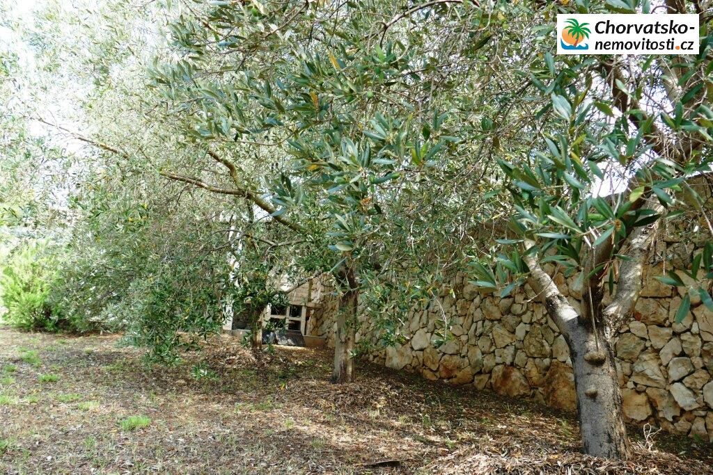 Prodej, pozemek, 602 m, , Česko - 11