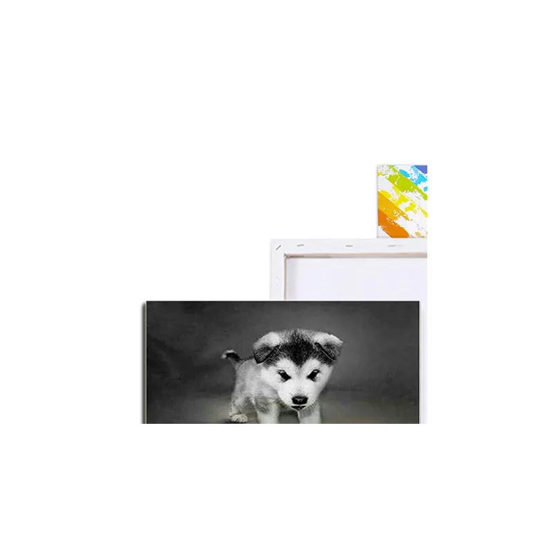 malování podle čísel - 11