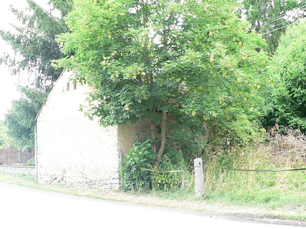 BEZDĚDOVICE - nedokončený RD - 11