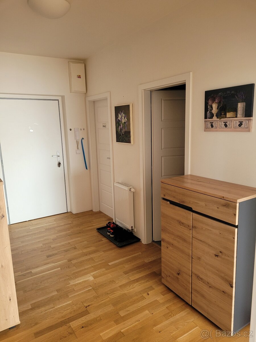 Pronájem bytu 3+kk kousek od Prahy - 11