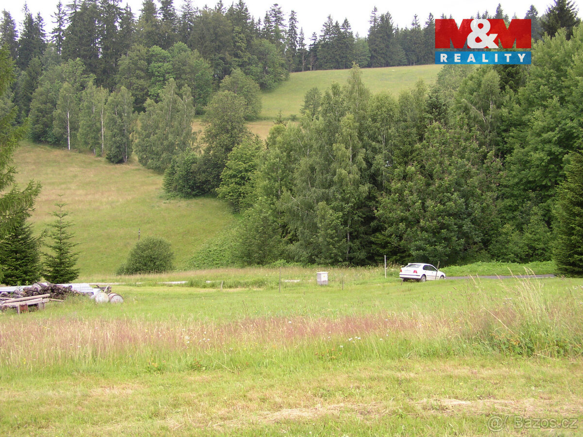 Prodej zahrady, 4214 m², Benecko - 11