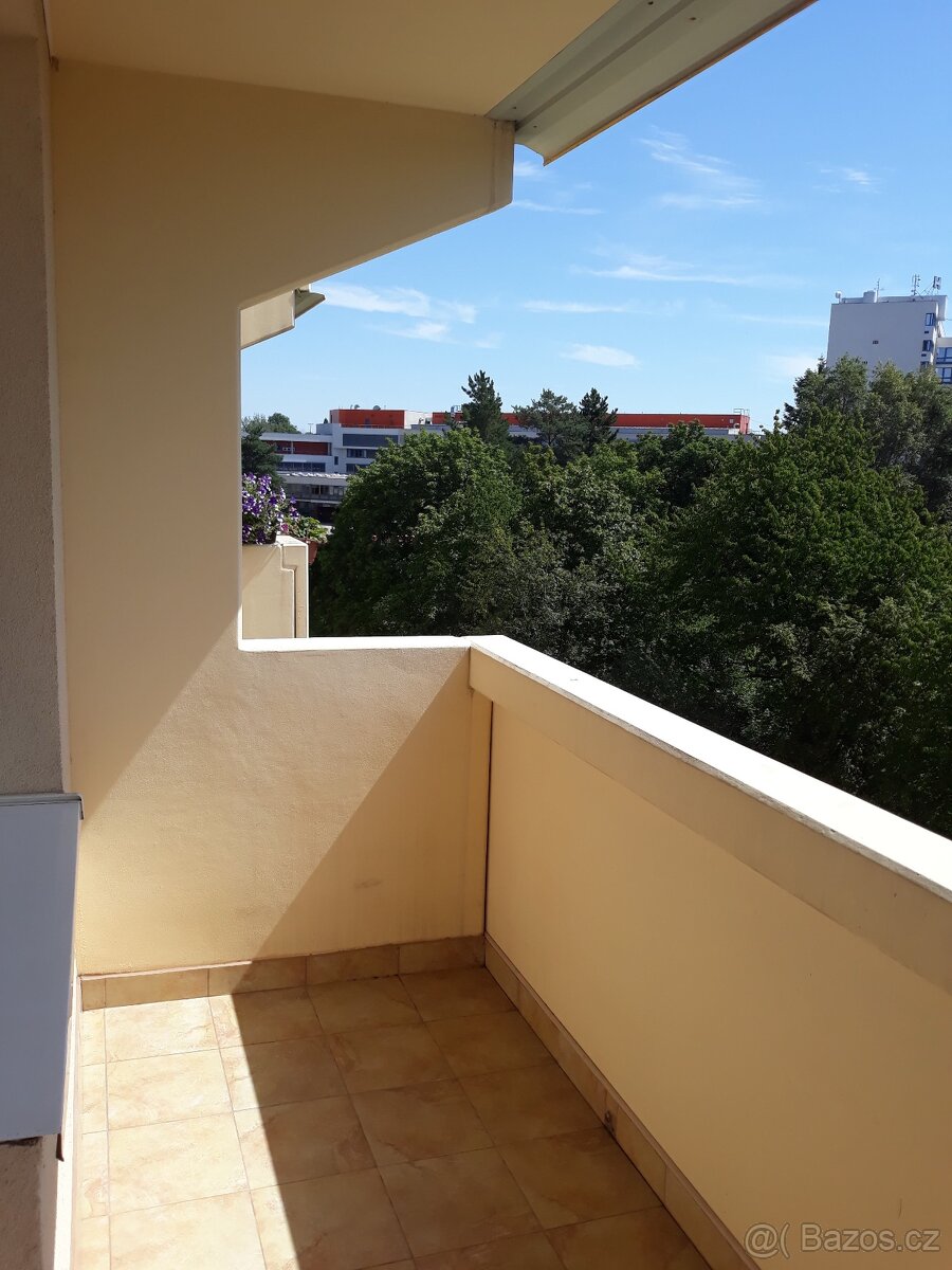 Pronájem bytu 2+1 s lodžií - 11
