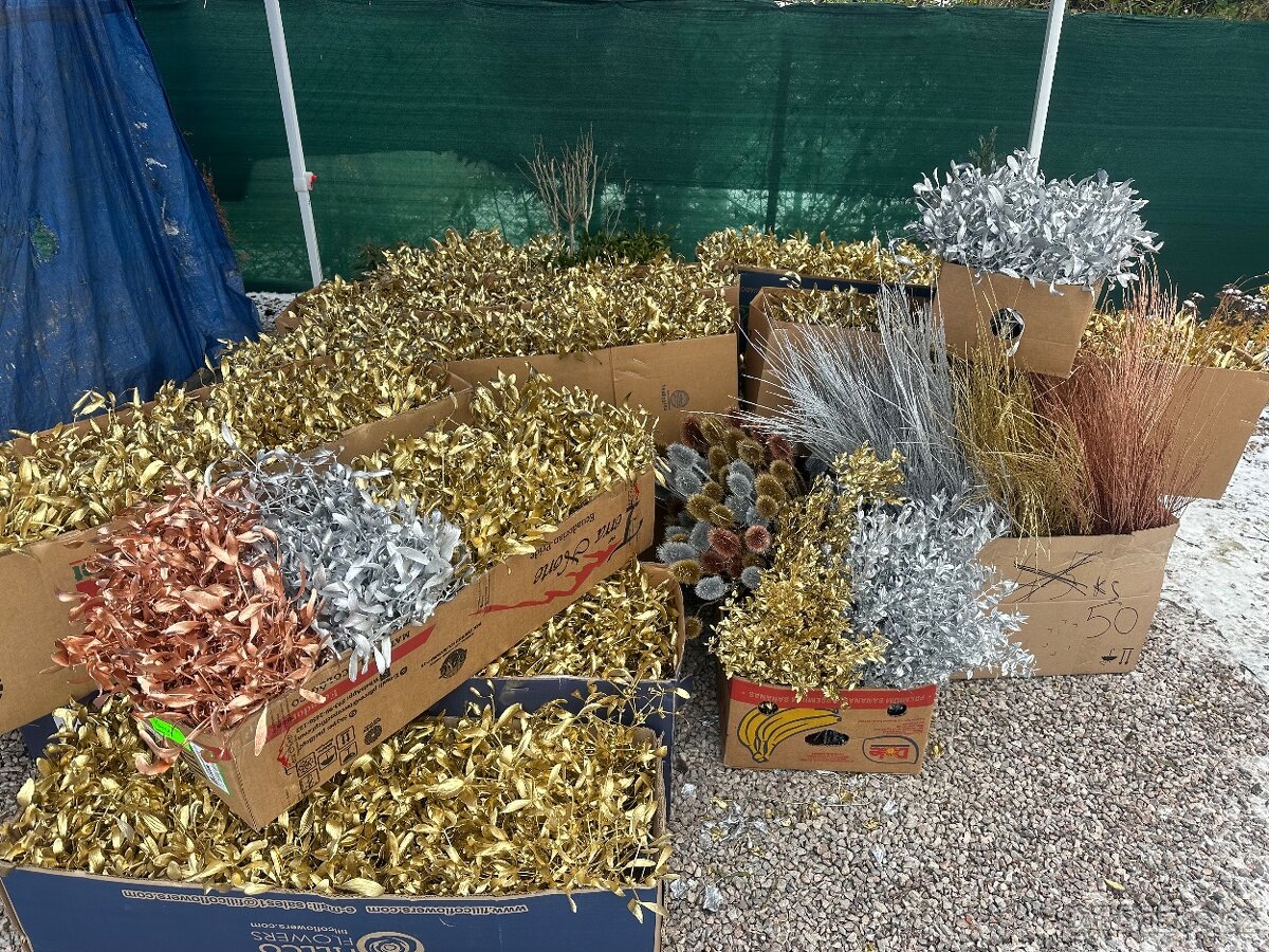 Prodáme vánoční jmelí 🌿🌿 - 11