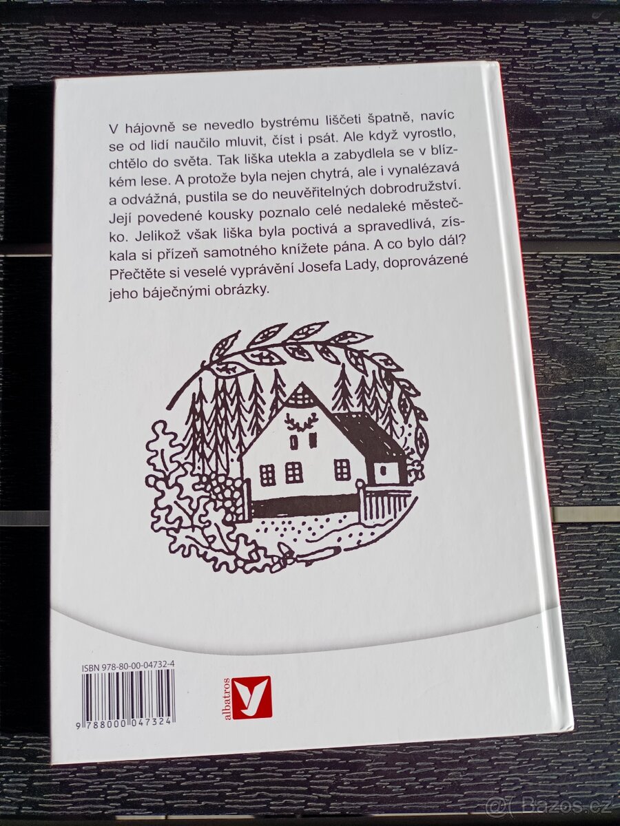 Dětská knížka, kniha - 11