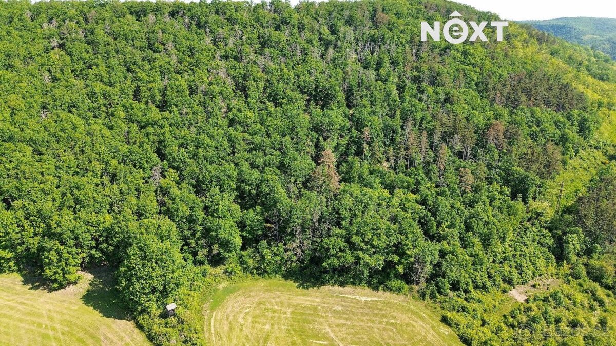 Prodej pozemek Lesy, 3149㎡ - 11