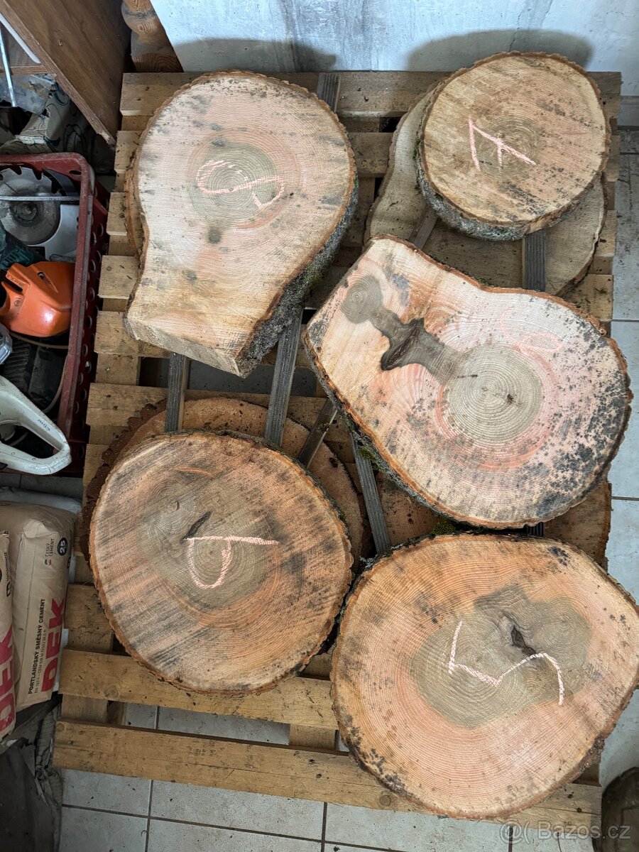 Akátové / jasanové Koláče , příčné rezy - 11