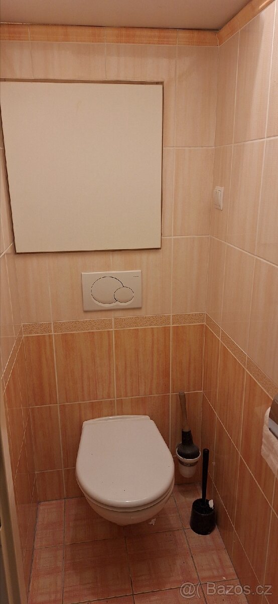 Pronajmu byt 3+1 v Podivíně - 11