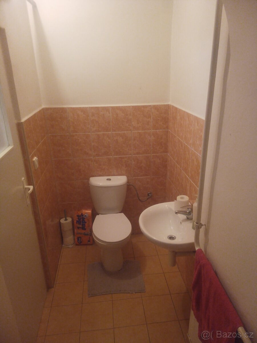 Byt 3+1 Bílina - 11