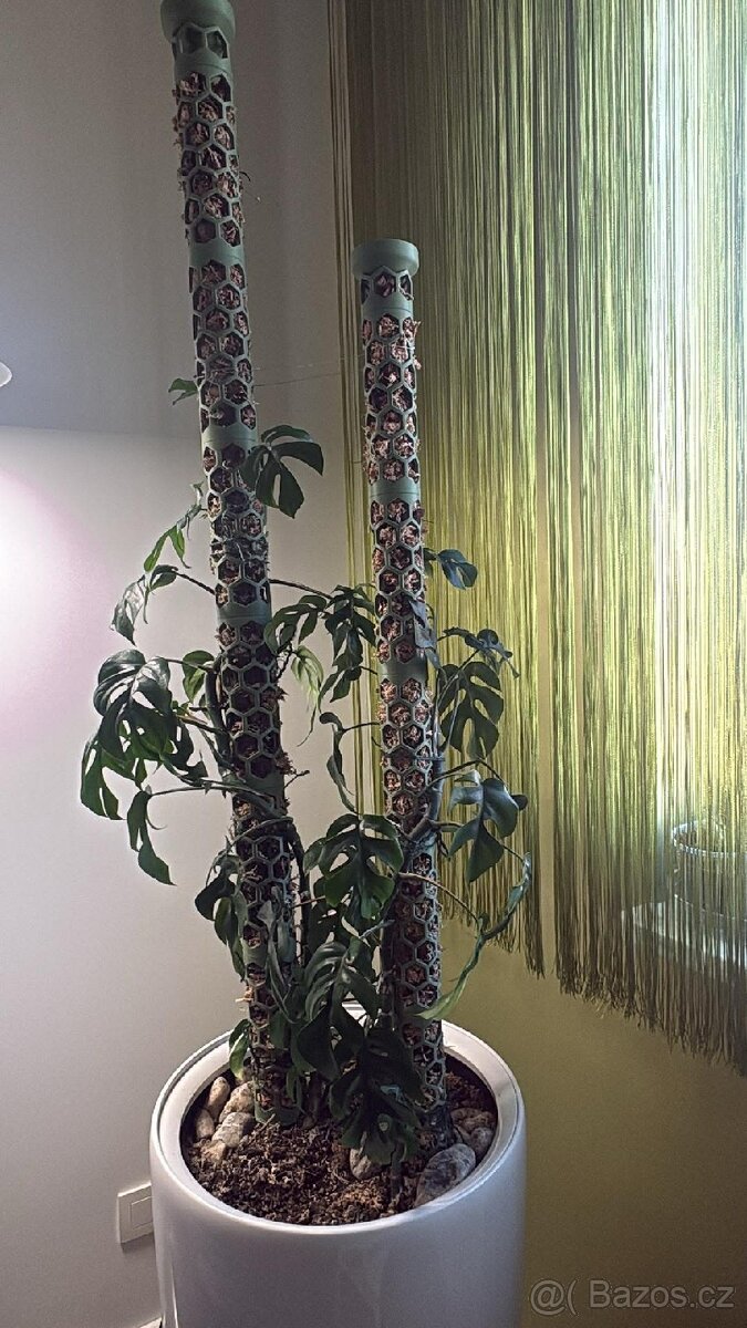 Rašeliníkové opory pro rostliny - 11