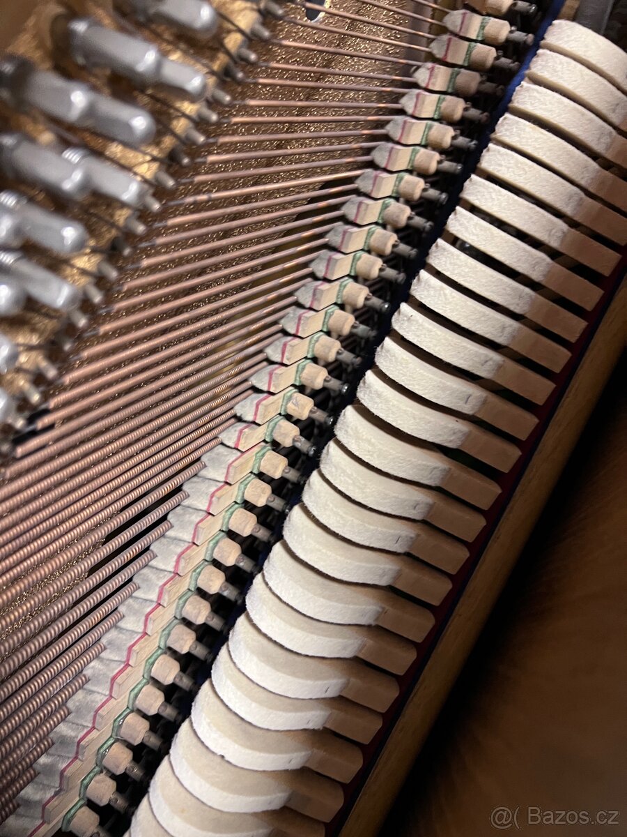 Klavir Scholze - 11