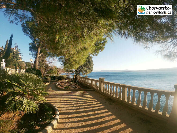 Prodej, byt 2+1, 40 m, , , Česko - 11