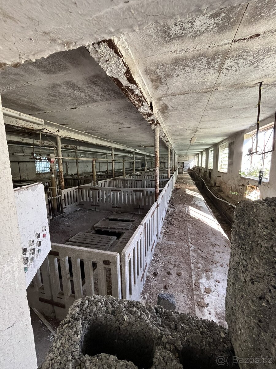 Veřejná dražba – zemědělské objekty Týček - 11