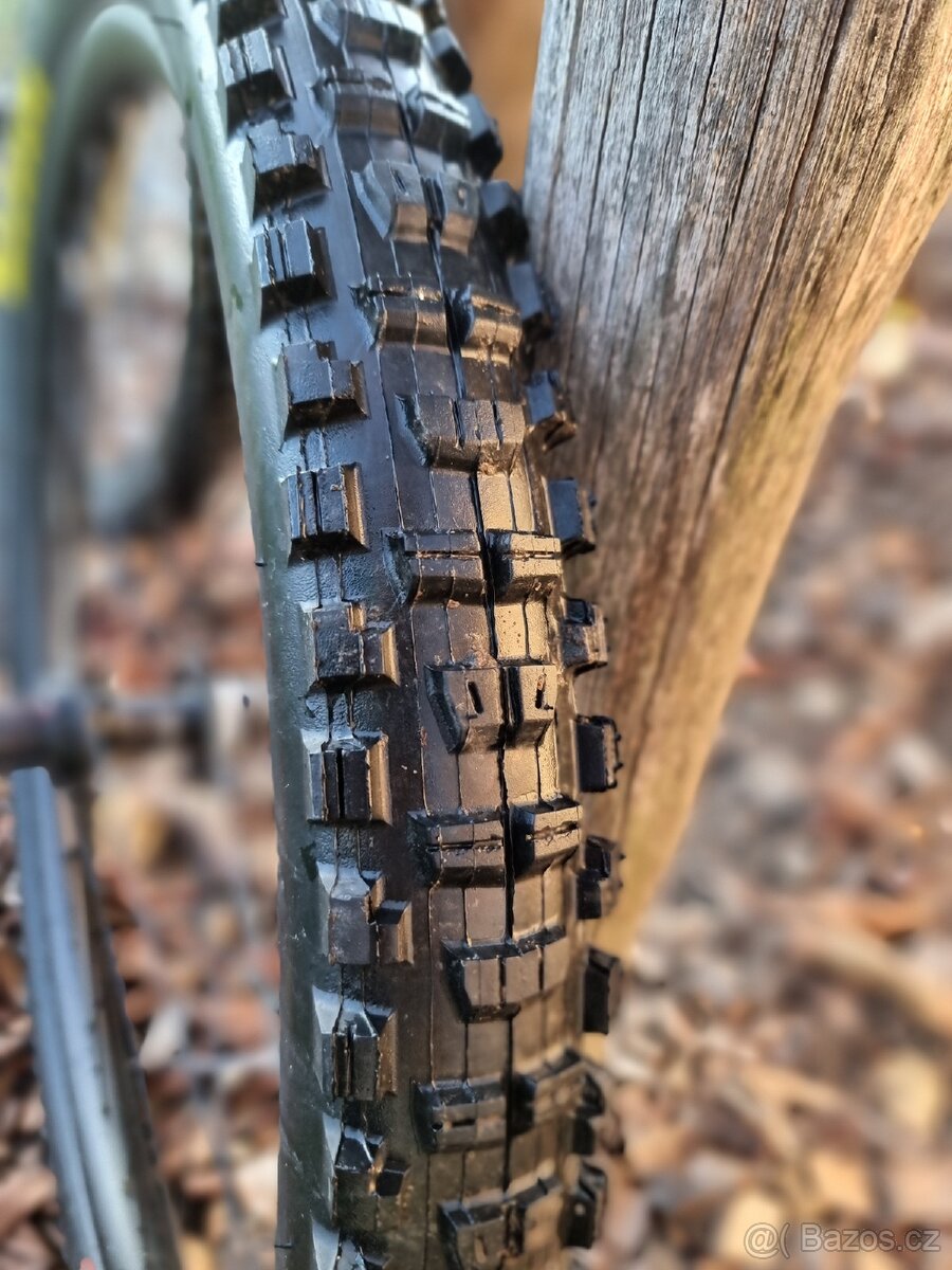 Kola Giant Mullet 29/27.5 + Maxxis Minion - 11