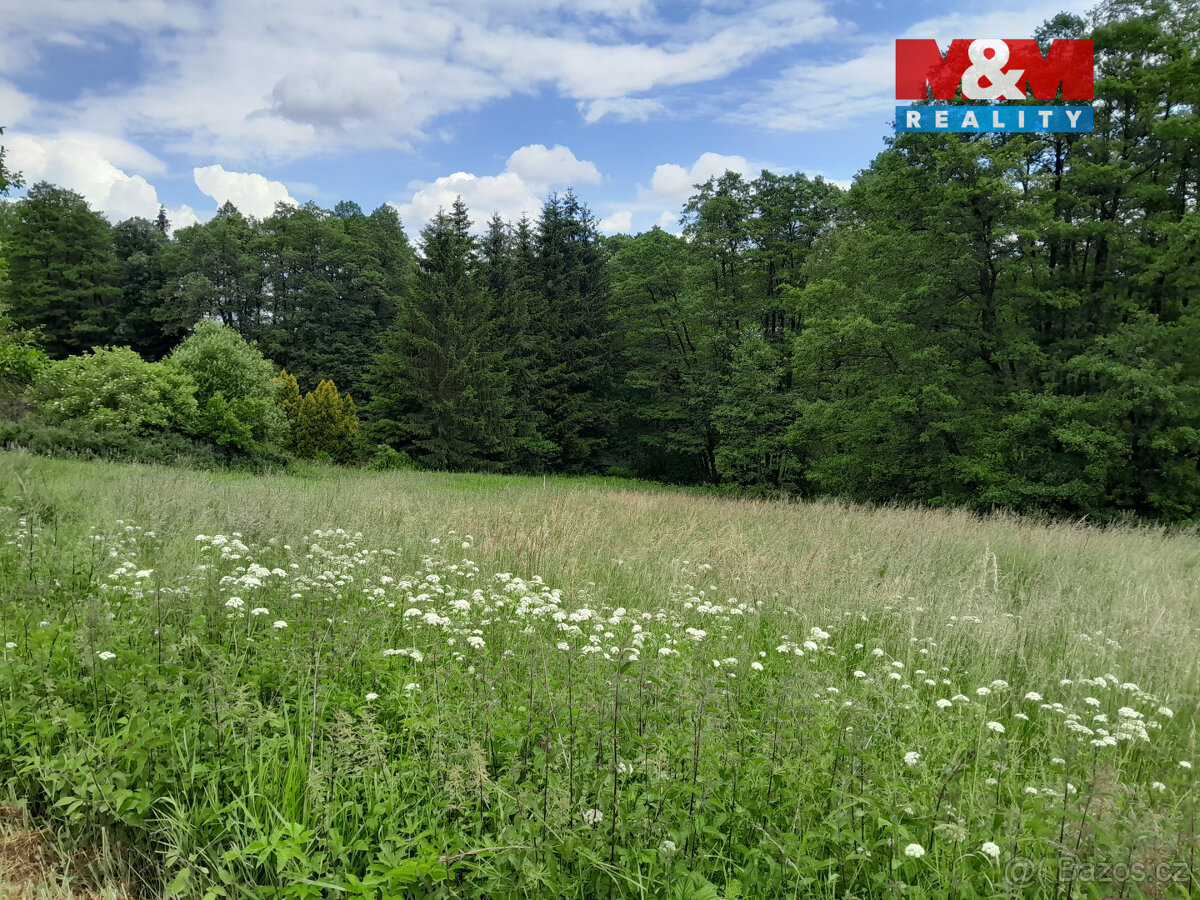Prodej louky, 19732 m², Oselce - 11