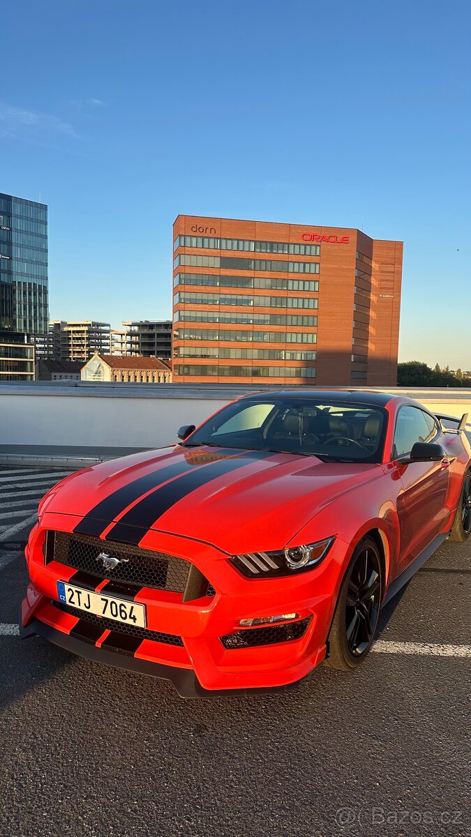Mustang - 11