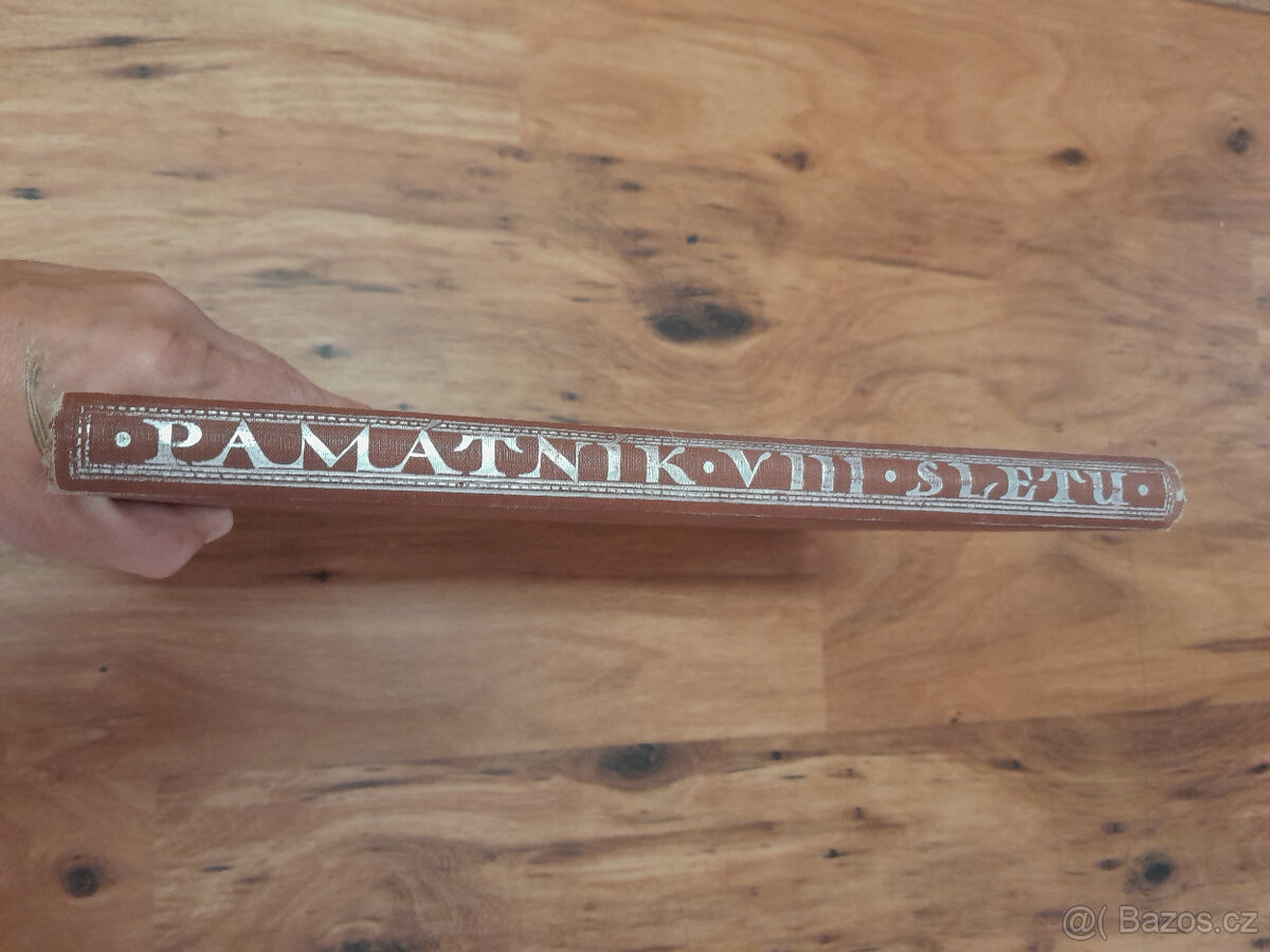 Památník IIX. Sletu všesokolského v Praze 1926 - 11