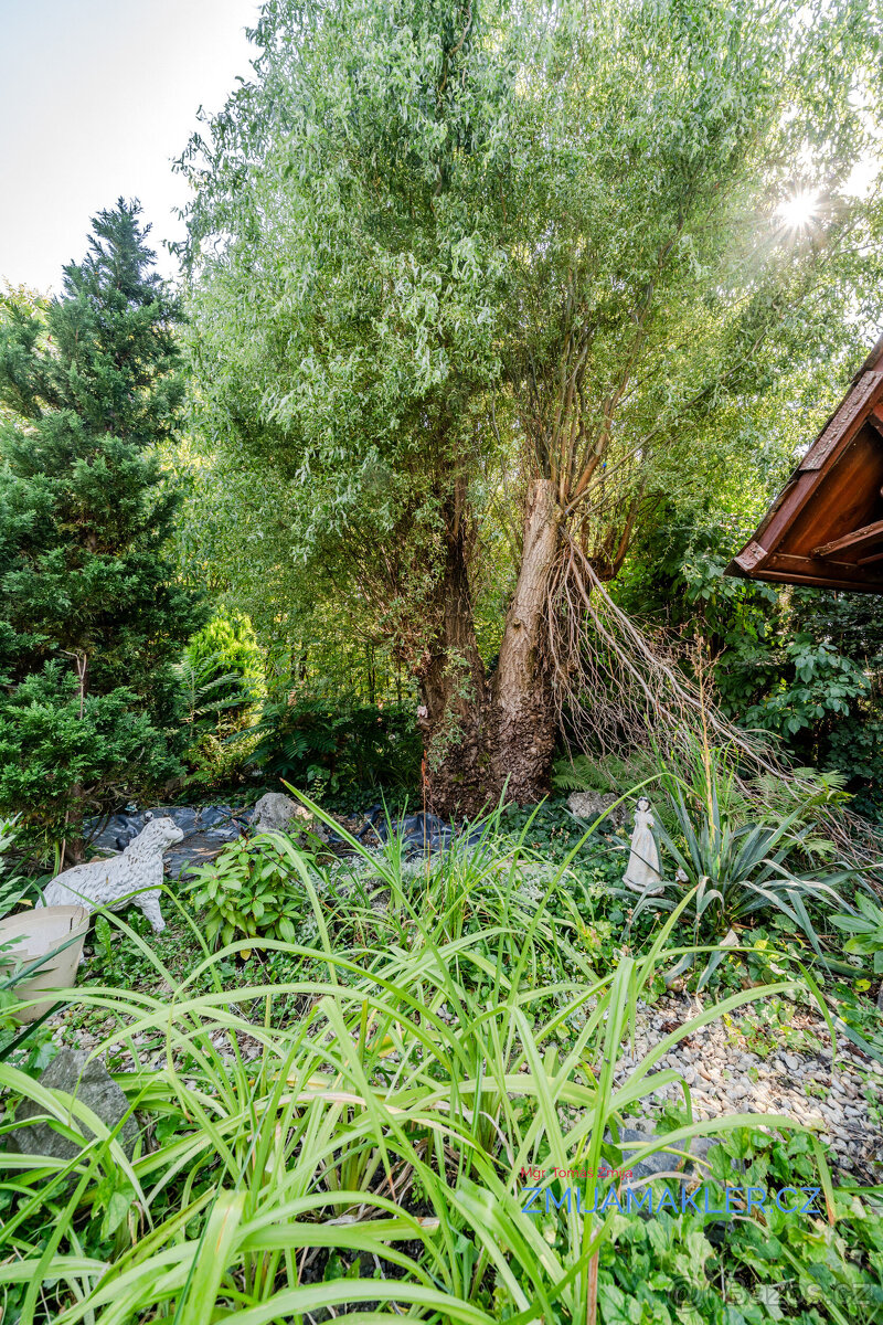 Prodej, byt 1+1, 37 m, Nádražní 233, Klimkovice, Česko - 11