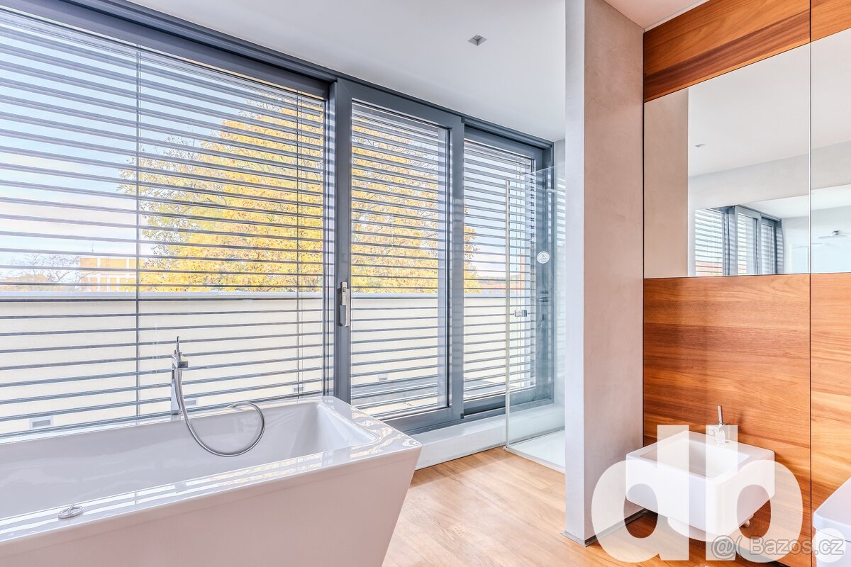 Pronájem bytu 1+kk 70 m², Cheb, ev.č. 01725 - 11