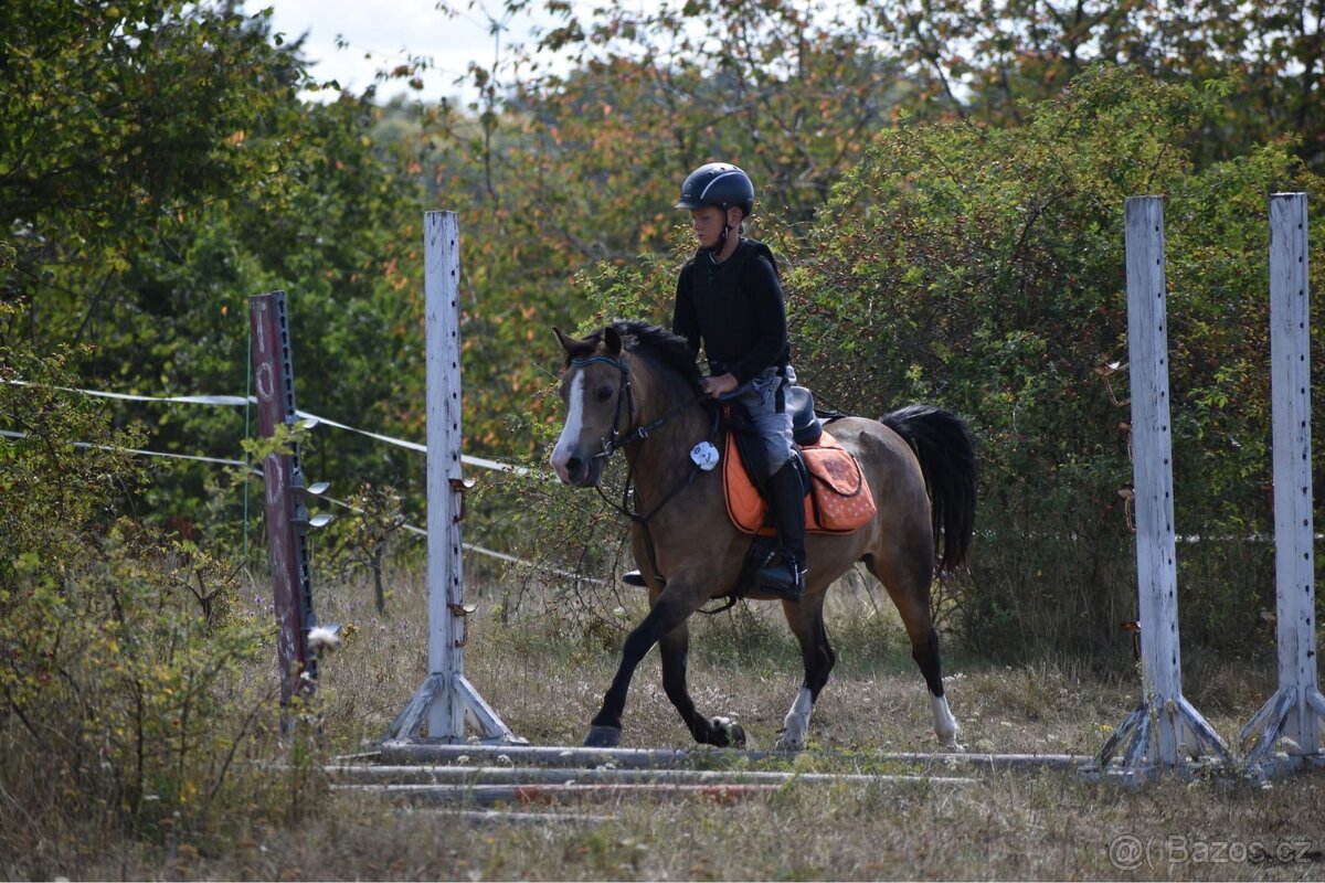 První pony pro děti - 11