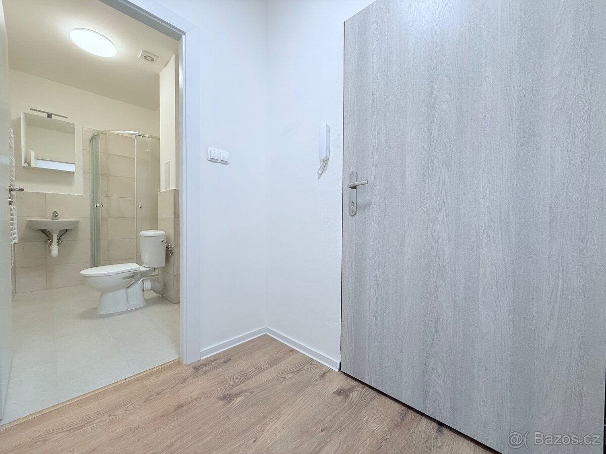 Pronájem bytu 1+kk, Ostrava - Přívoz - 11