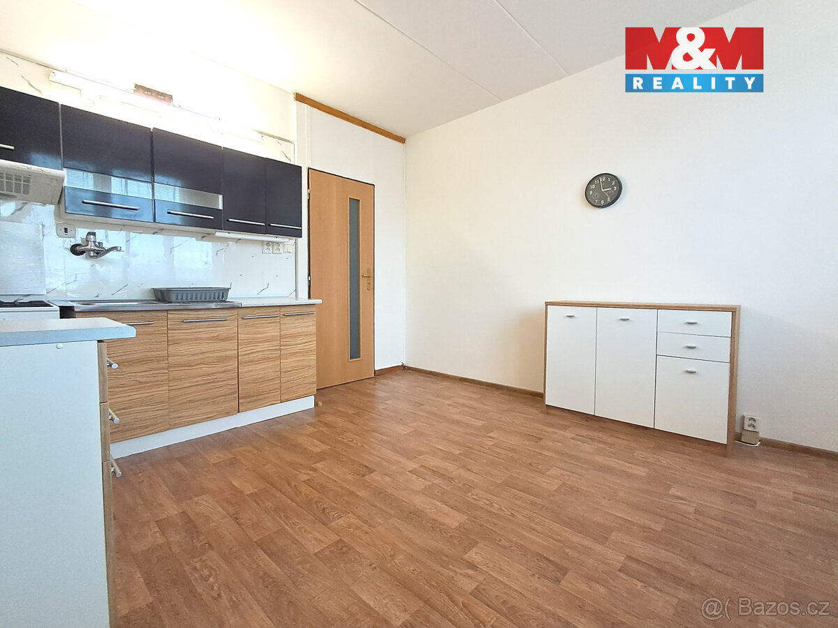 Pronájem bytu 1+1, 38 m², Plzeň, ul. Komenského - 11
