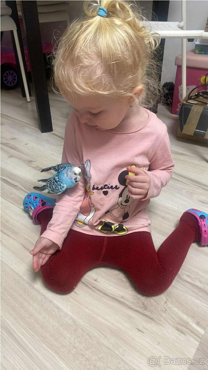 Andulky rok 2025 - okroužkované - 11