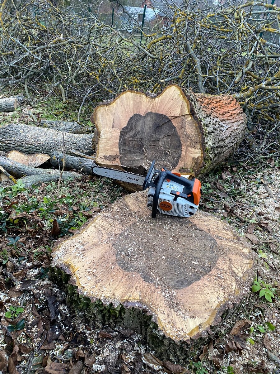 Realizace a údržba zahrad a veřejné zeleně - 11