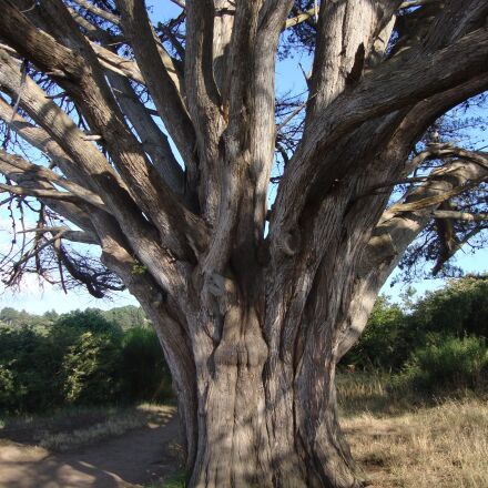 Fotoaparát Sony DSC-W215 - 11