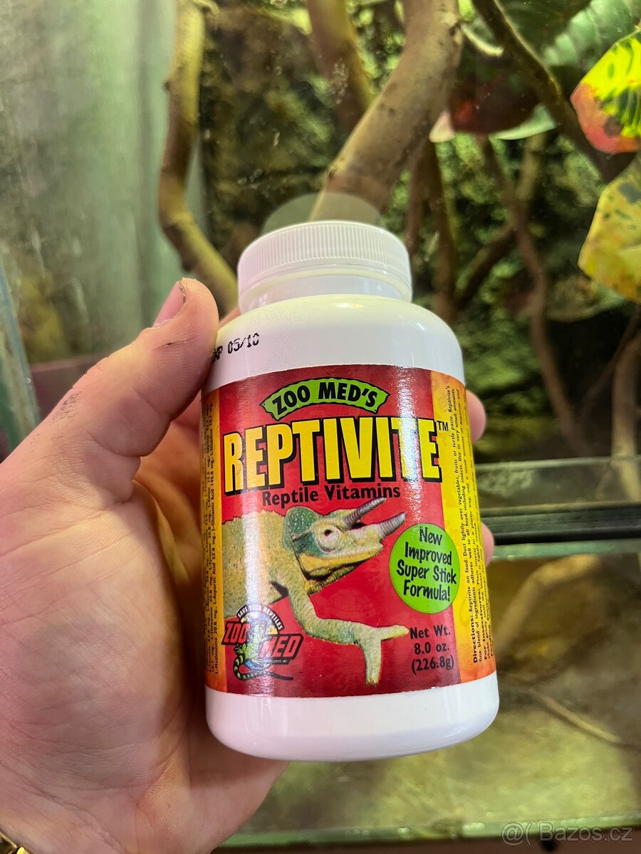 CHAMELEONI JEMENSKÝ HOLKA/KLUK + TERÁRIUM - 11