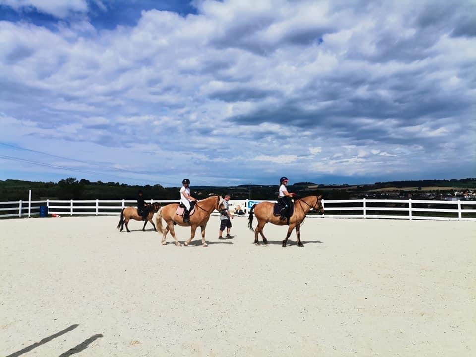 Jezdecký areál Eden – ustájení koní - 11