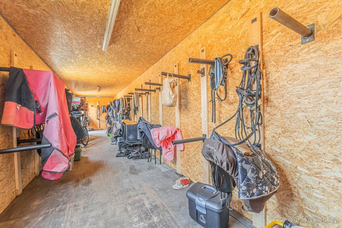 Ustájení koní – Telce u Peruce - 11