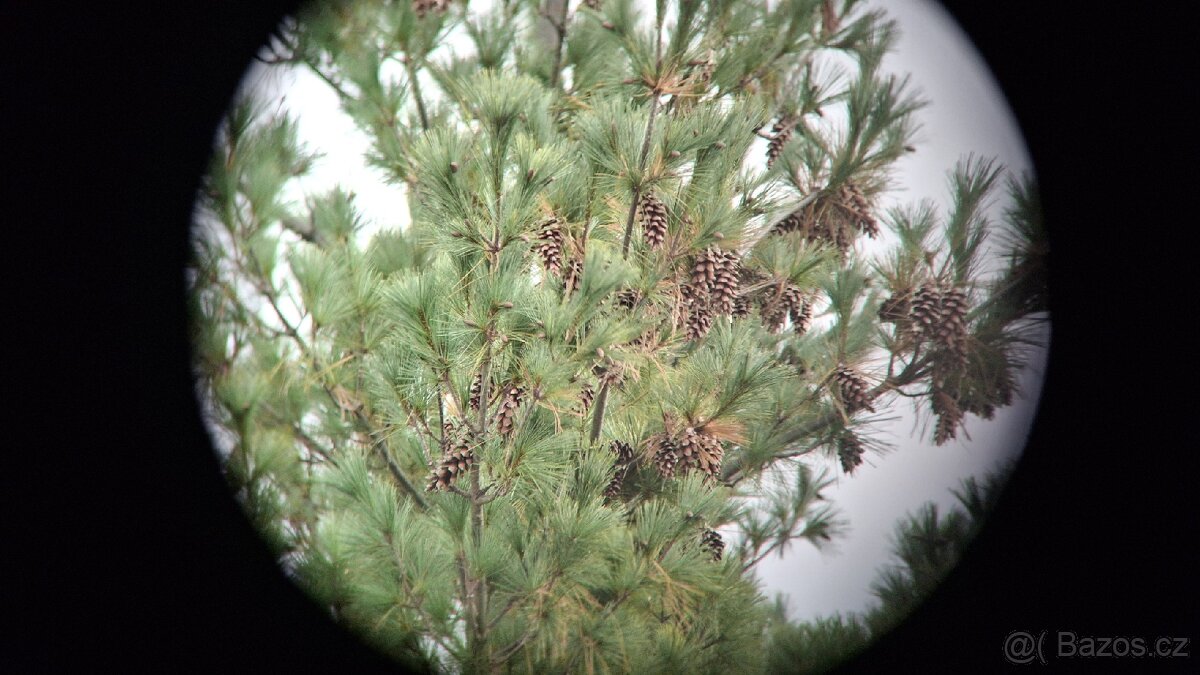 Dalekohled BPC 15X50 SOTEM - 11