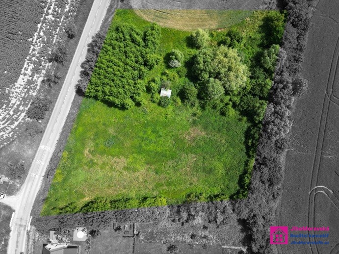 Prodej stavebního pozemku, 7 284 m², Diváky, ev.č. 00112 - 11